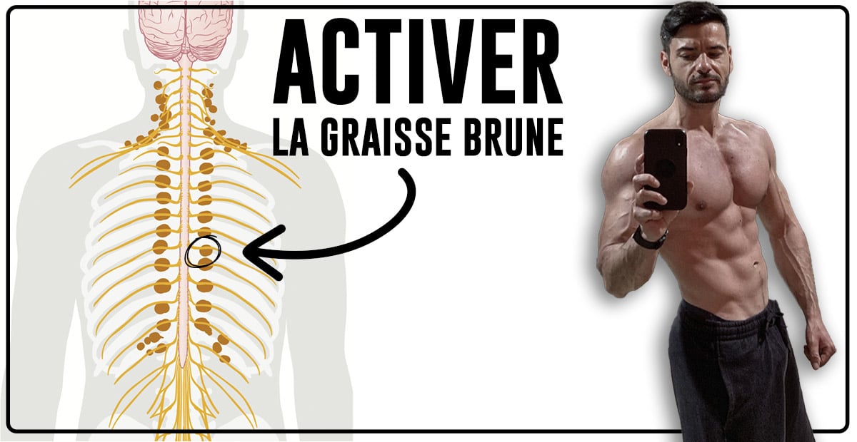 3 méthodes pour activer sa graisse brune Fitnessmith