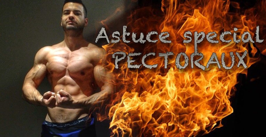 pectoraux musculation