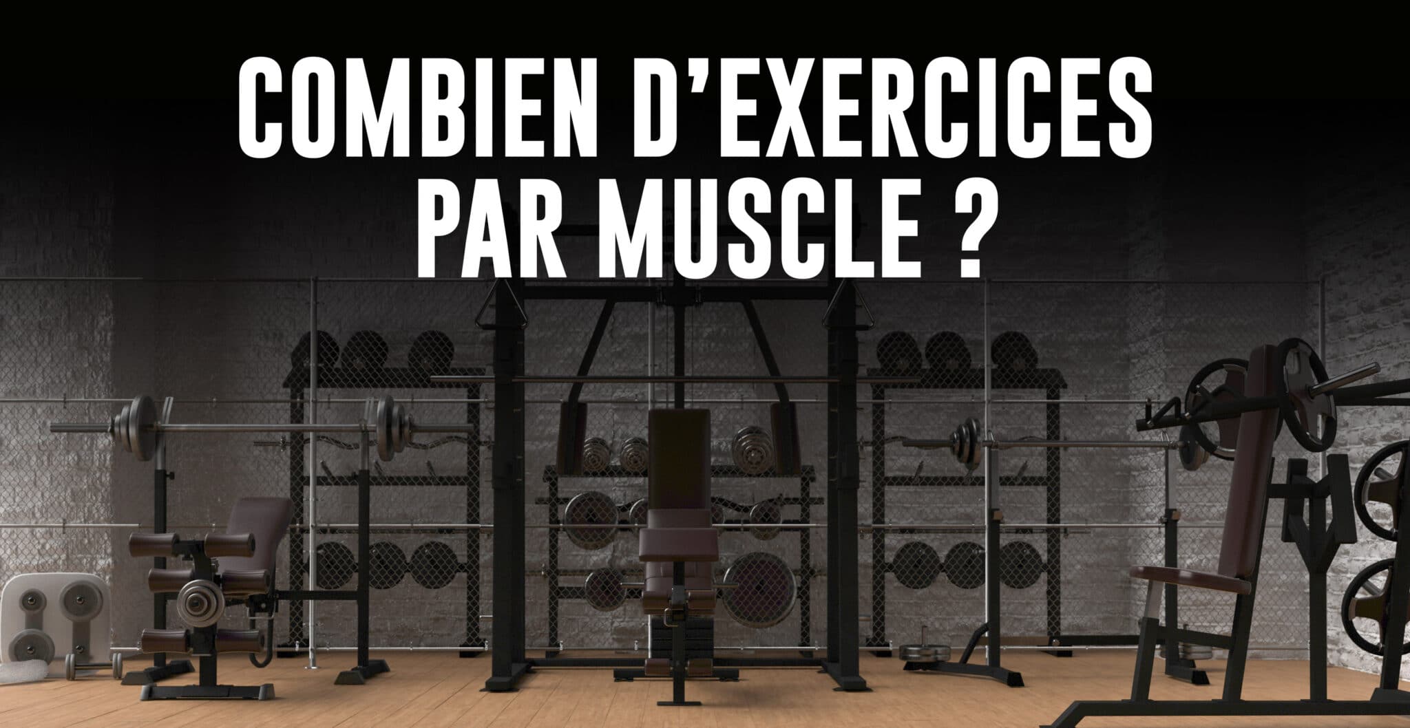 combien d'exercices par muscle