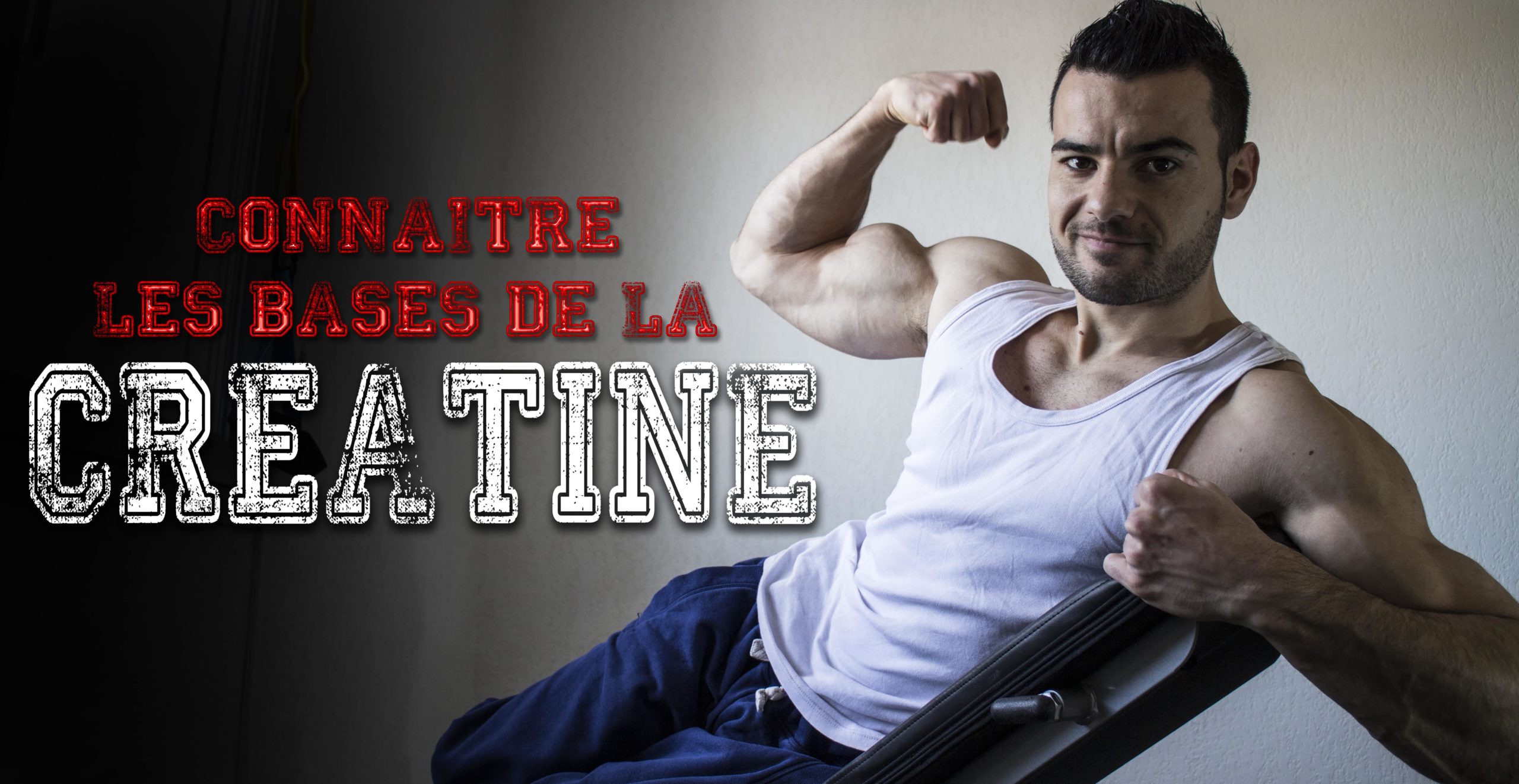 CRÉATINE musculation