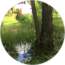 Franck Mokrycki profile picture