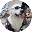 Anne-Sophie CREUZA profile picture