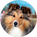 MingoMuscu profile picture