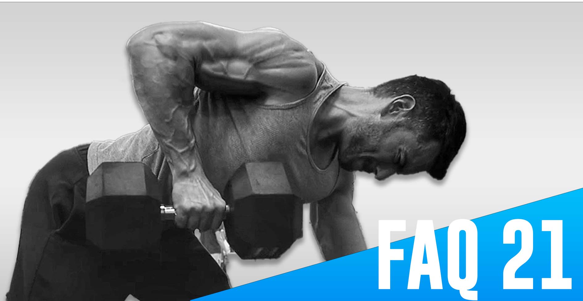 You are currently viewing FAQ #21 – Analyse morpho-anatomique comme point de départ