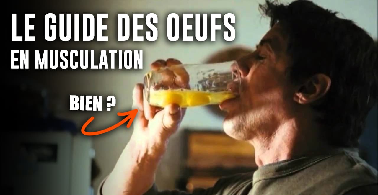 LES OEUFS EN MUSCULATION