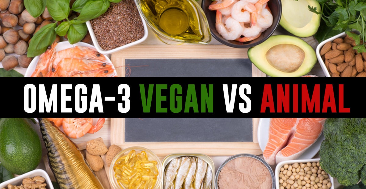 OMEGA 3 VEGETAL OU ANIMAL