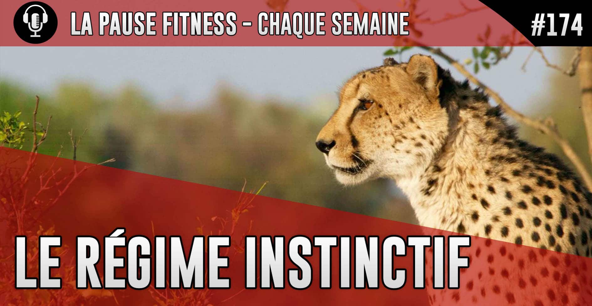 PODCAST MUSCULATION 174