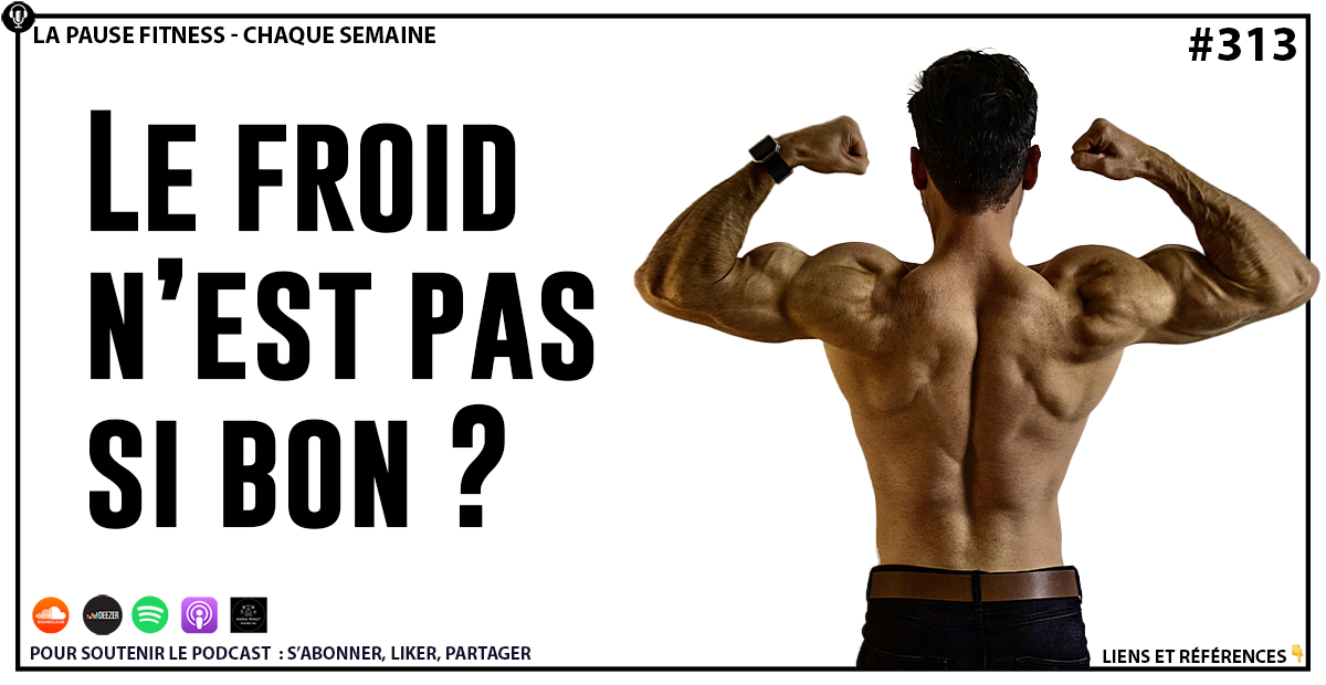 PODCAST MUSCULATION 313