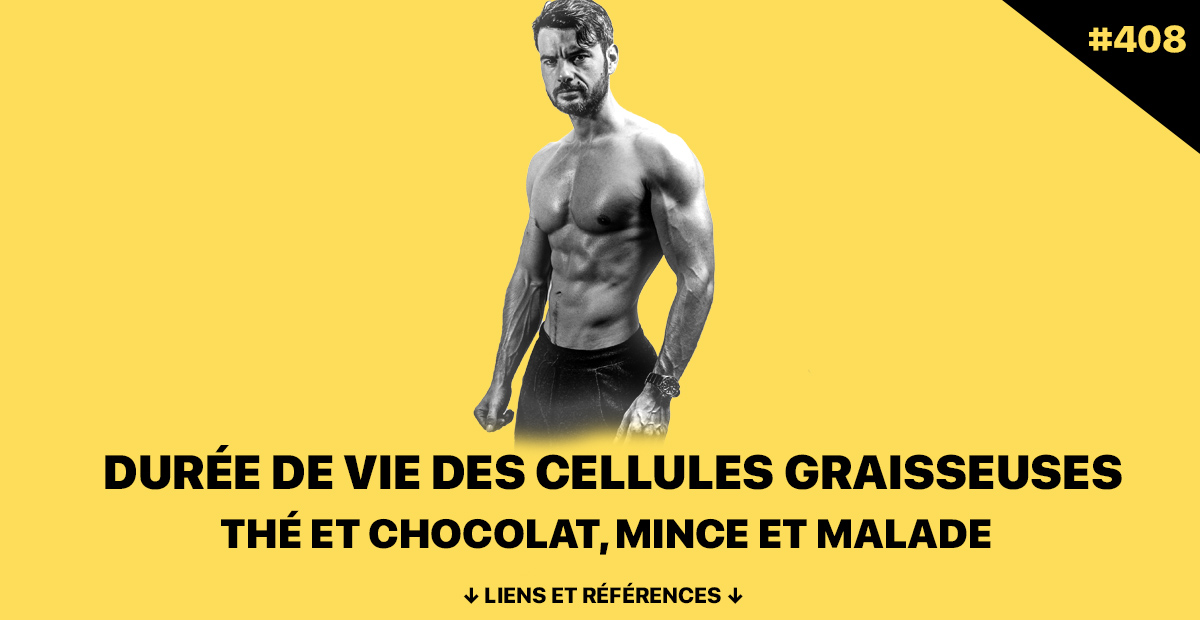 Podcast musculation 408 : durée de vie des cellules graisseuses, impact du thé et du chocolat sur la santé