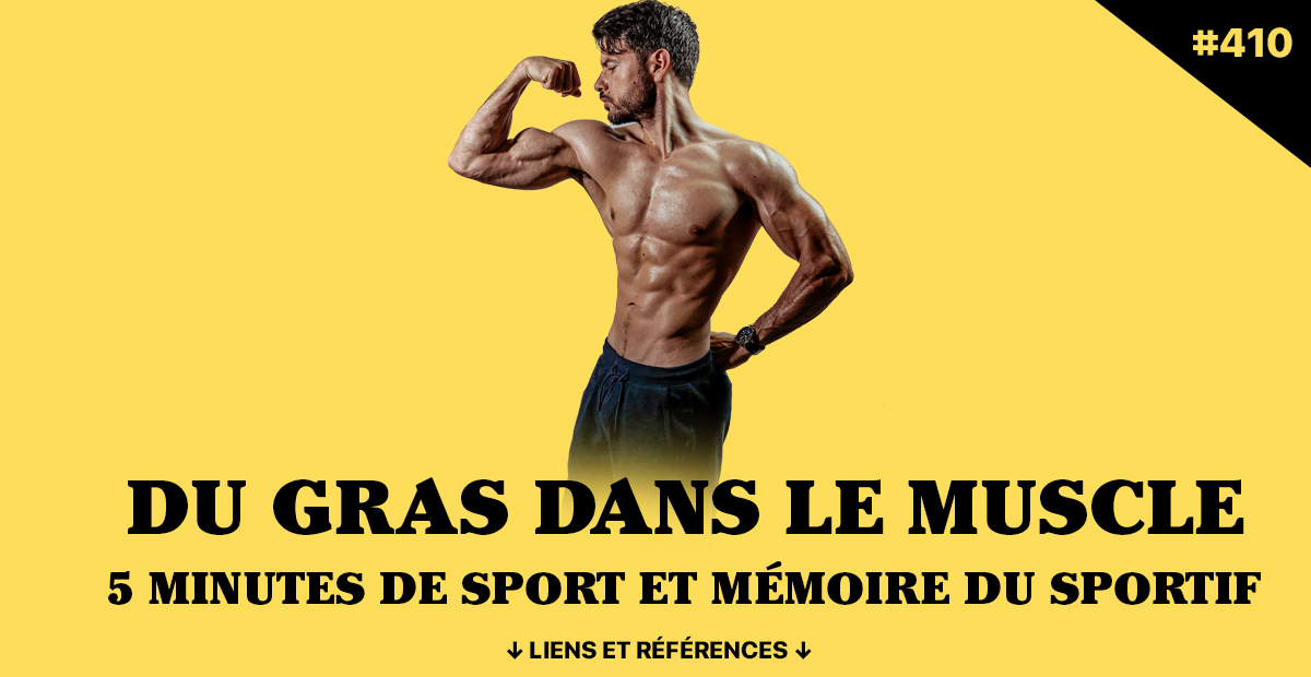 Podcast Fitnessmith - Graisse musculaire, sport express et mémoire : découvrez comment les choix alimentaires et l'entraînement impactent vos muscles et votre santé.
