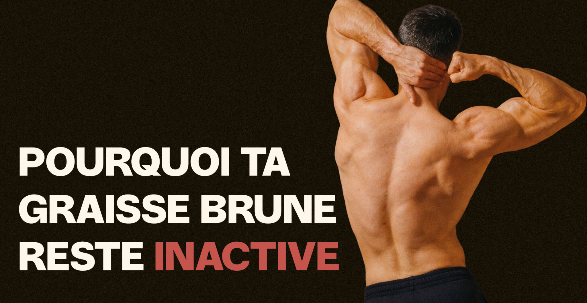 PODCAST_MUSCULATION_479