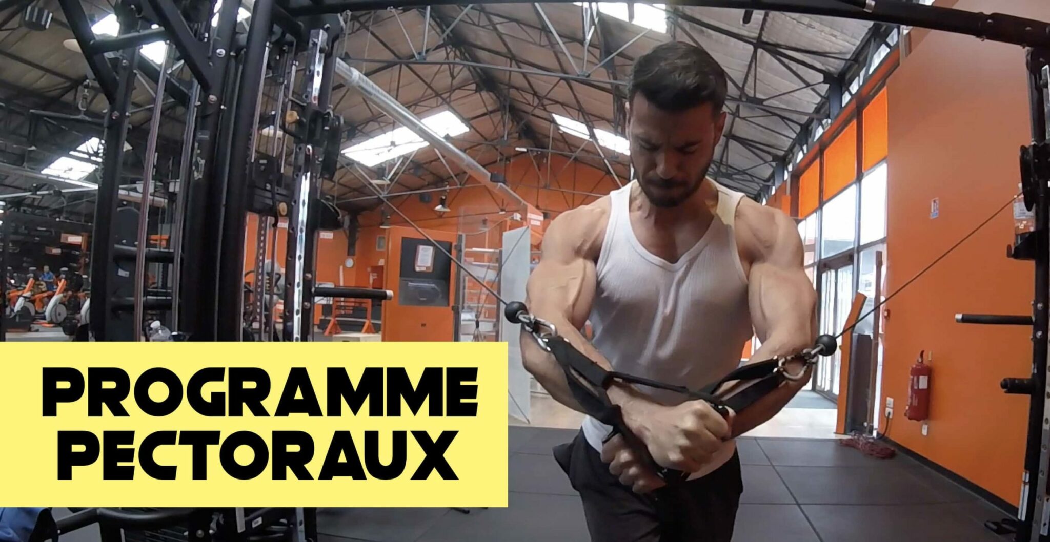 Comment bien travailler les pectoraux Programme Pectoraux Fitnessmith