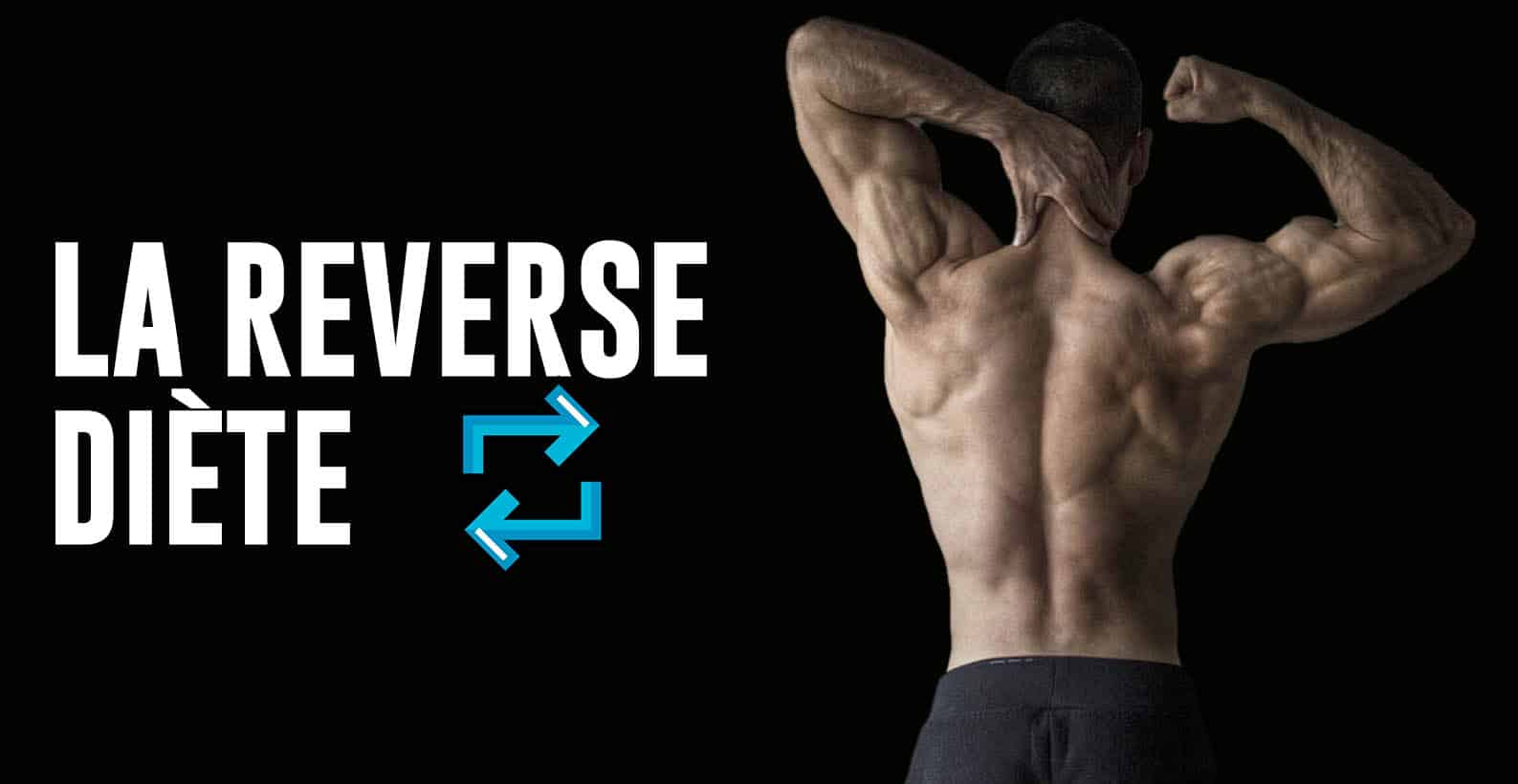 REVERSE DIETE MUSCULATION