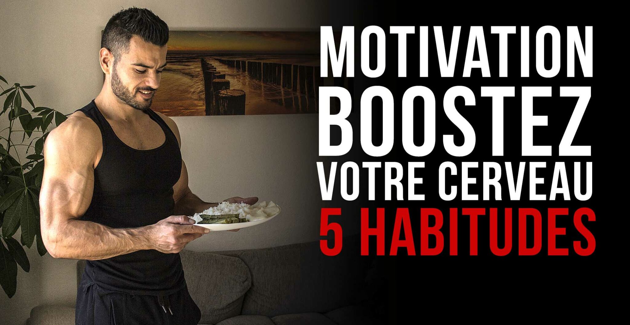 cerveau et nutrition