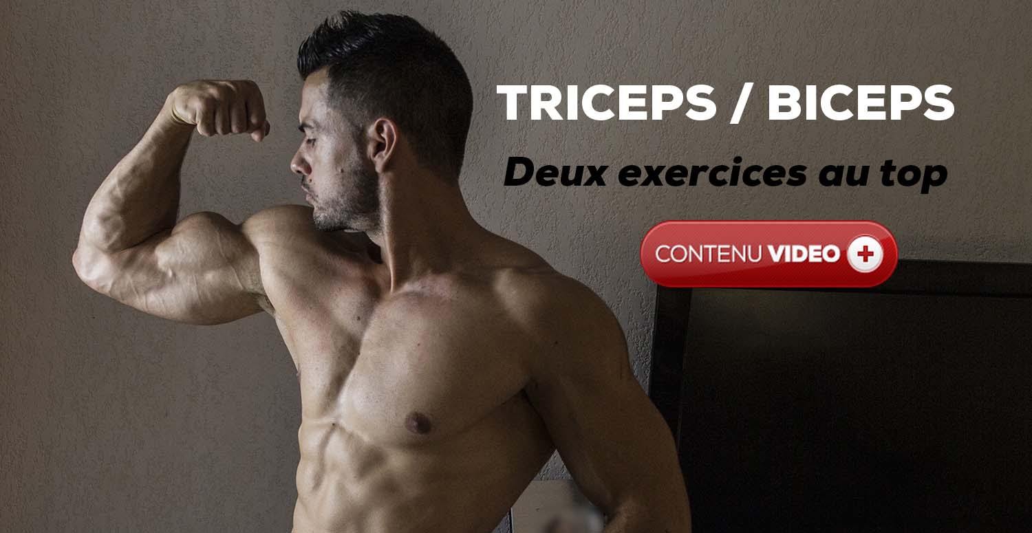 Les Exercices Au Top Pour Des Gros Bras Fitnessmith