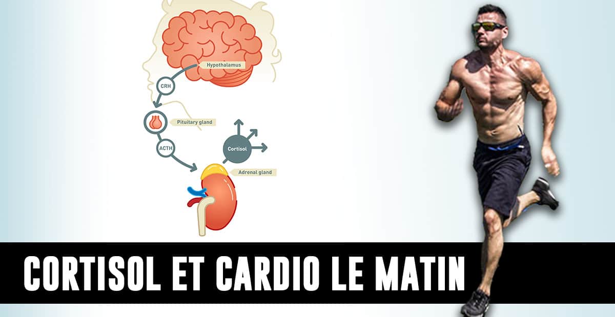 cardio matin et cortisol