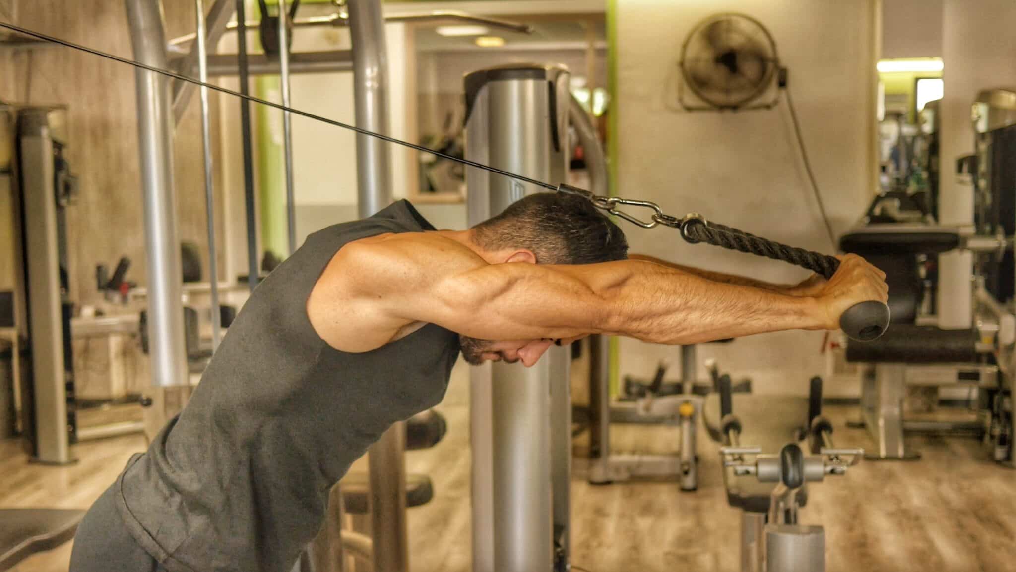 combien de musculation par semaine