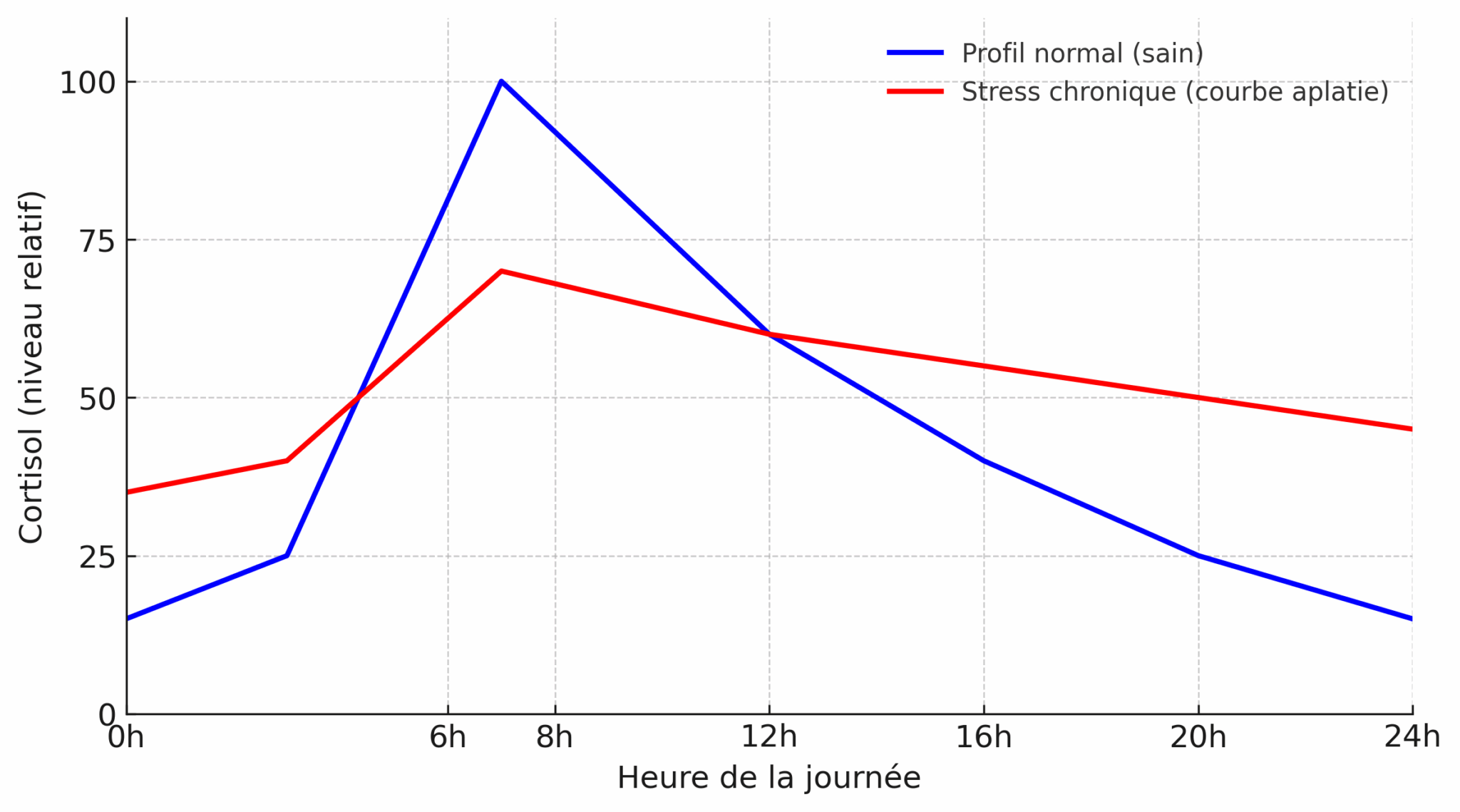 Graphique comparant la courbe du cortisol sur 24 heures chez une personne en bonne santé (ligne bleue) et une personne en stress chronique (ligne rouge)