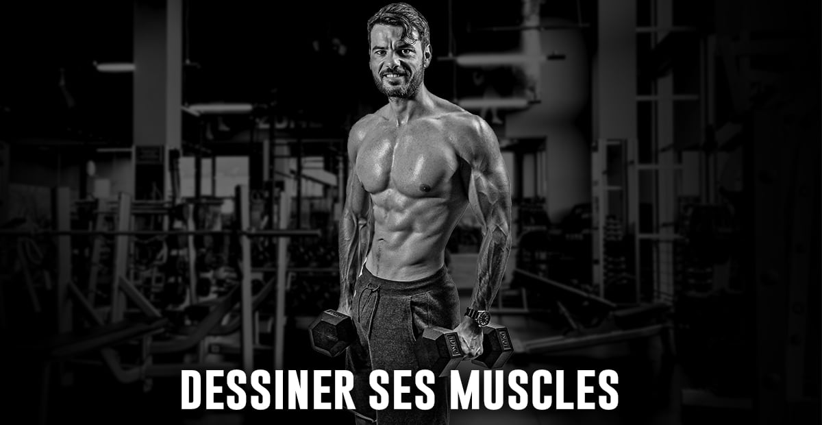 dessiner ses muscles