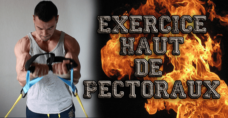 You are currently viewing Muscler le haut des pectoraux