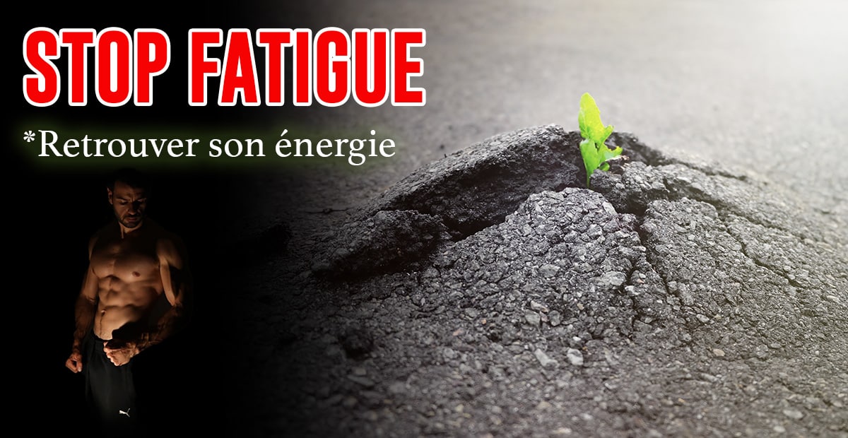 You are currently viewing La force du tonus ( à destination des flagadas et raplaplas )