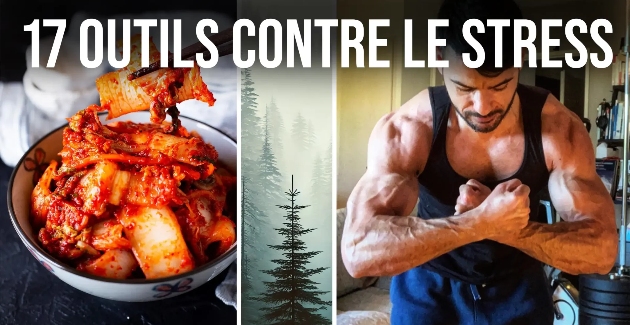 Kimchi, forêt apaisante et musculation – trois outils naturels contre le stress, issus de l'article "17 outils pour la gestion du stress
