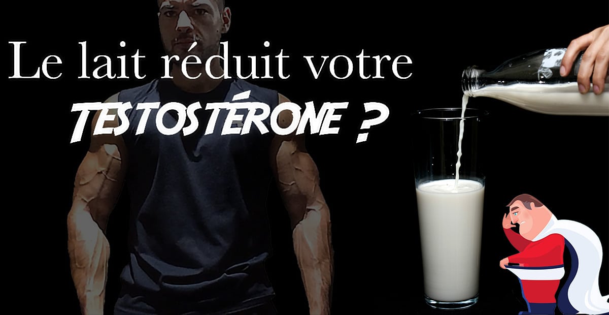 lait testosterone
