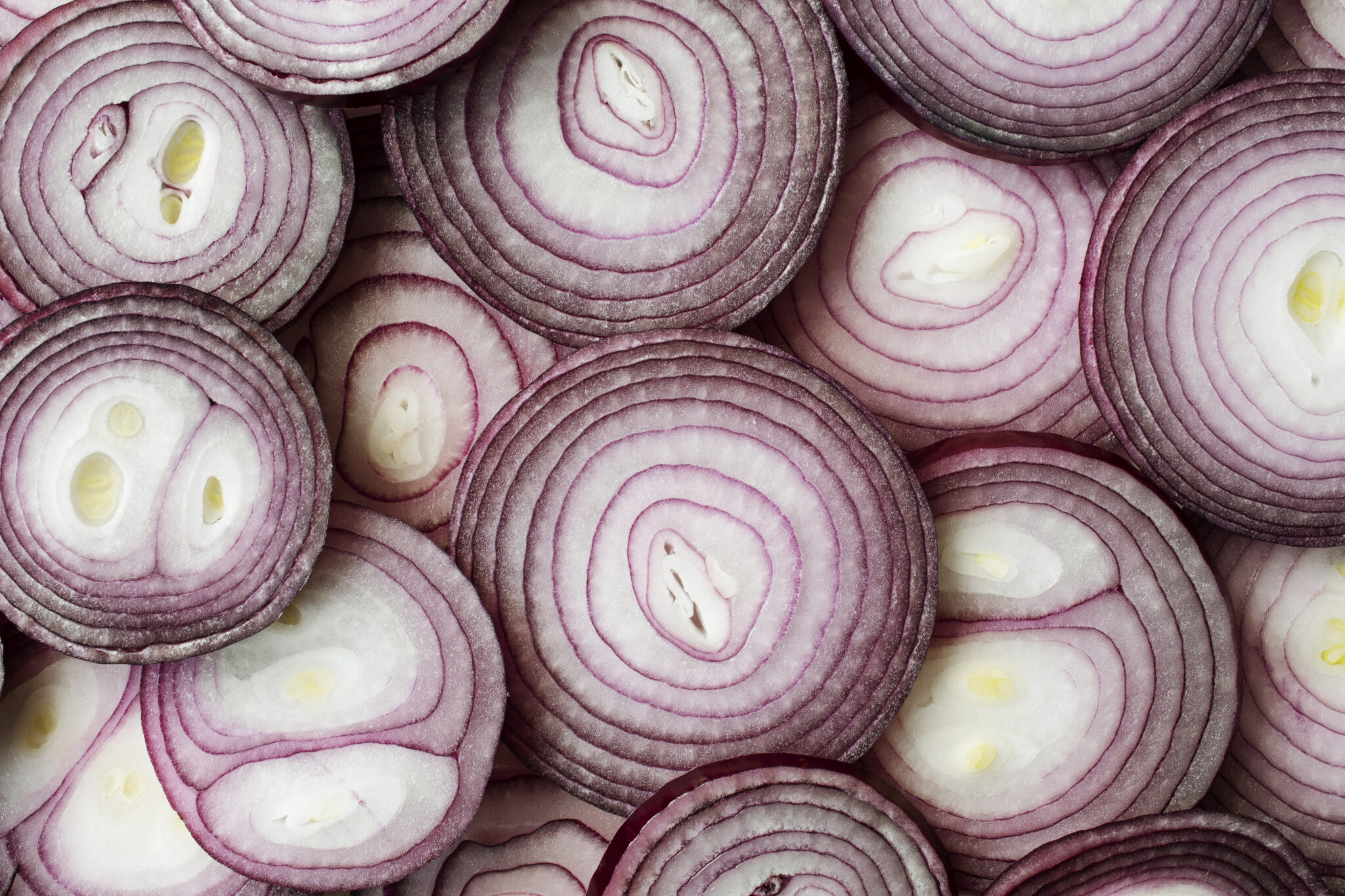 oignon quercetine musculation