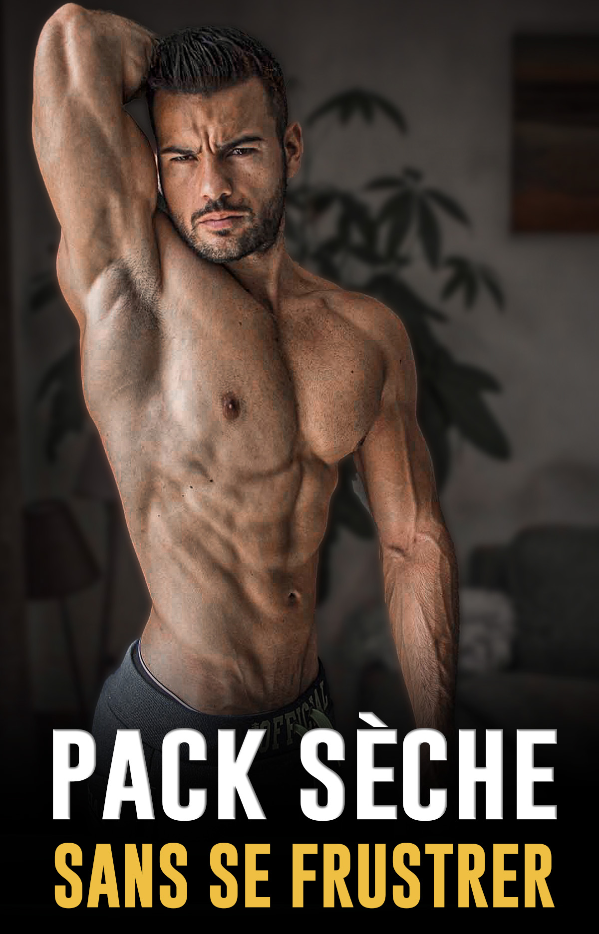 programme sèche ebook musculation