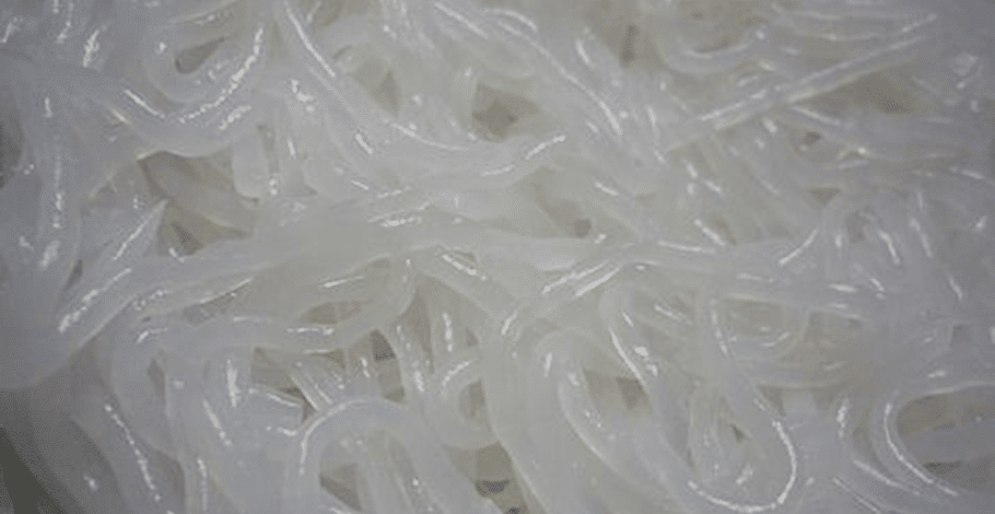 You are currently viewing Recette paléo de nouille de konjac spécial sèche