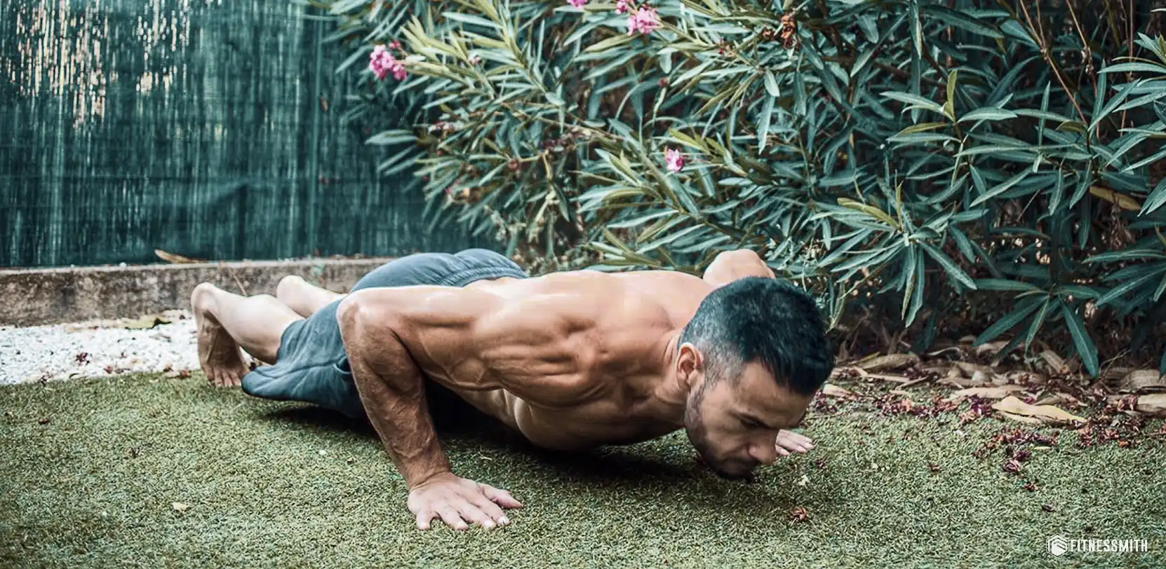 pompes sèche programme musculation