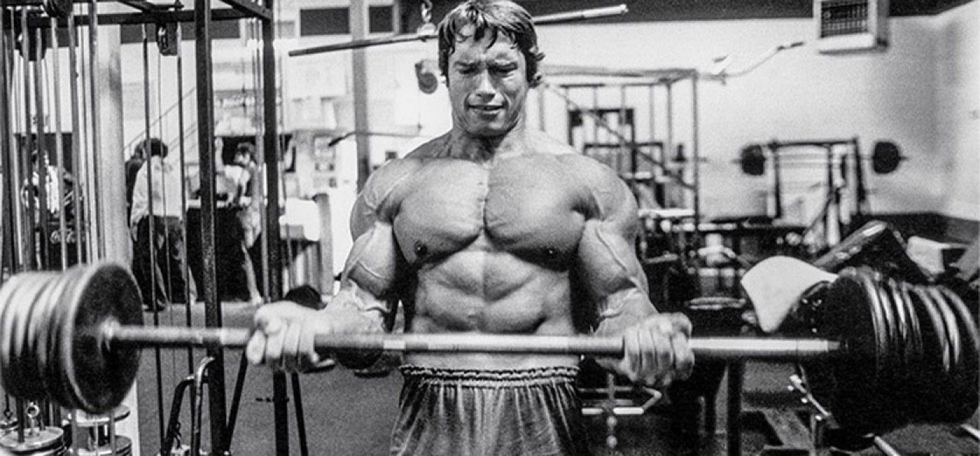 programme arnold schwarzenegger bras