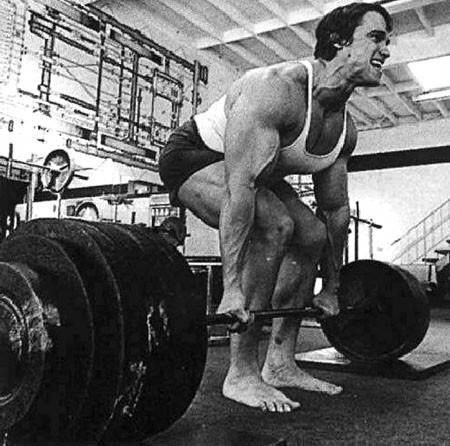 programme arnold schwarzenegger dos