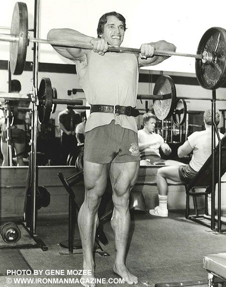 programme arnold schwarzenegger epaules 2