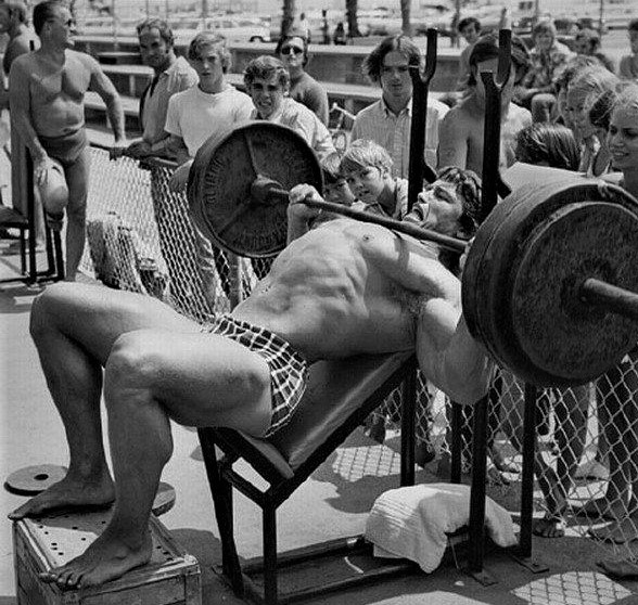 programme arnold schwarzenegger pectoraux 2