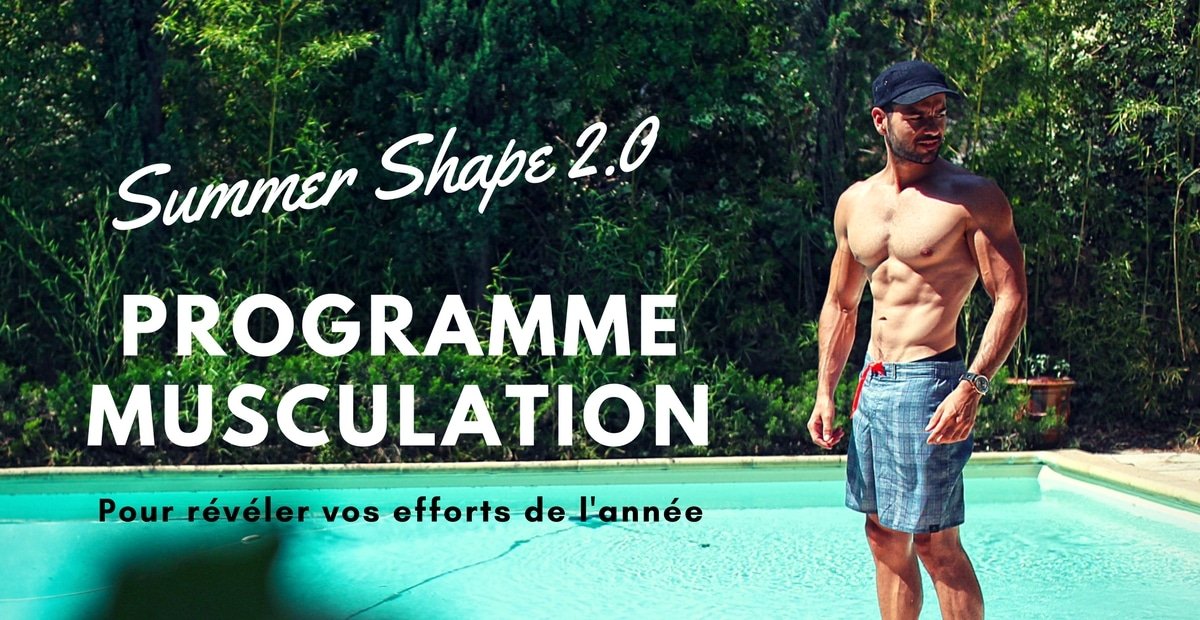 programme sèche musculation