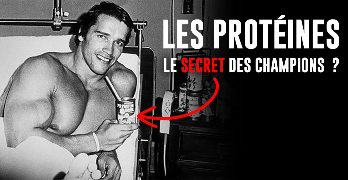 proteins musculation danger