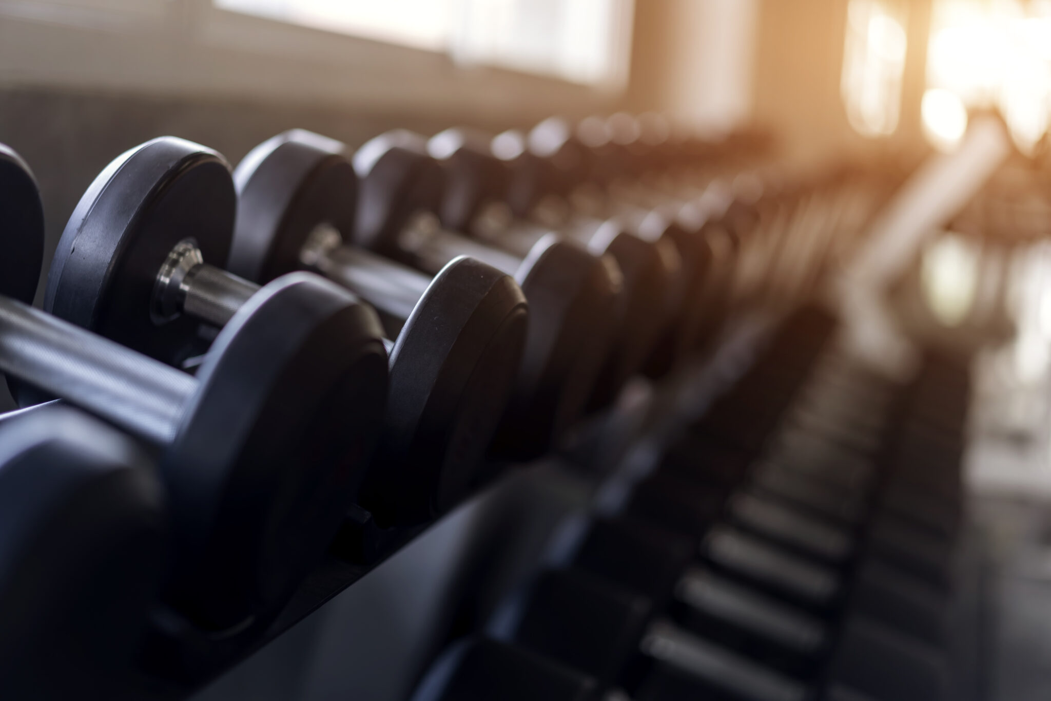 salle musculation matin