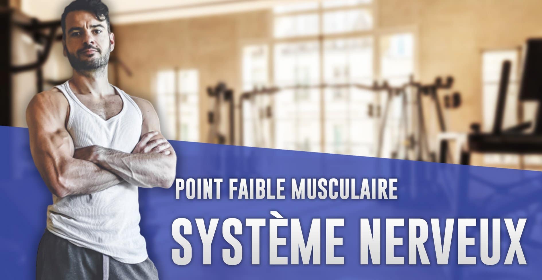 système nerveux musculation