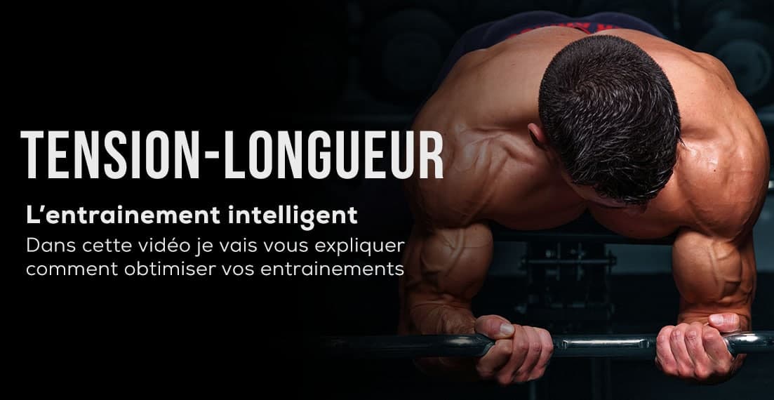 tension longueur musculation