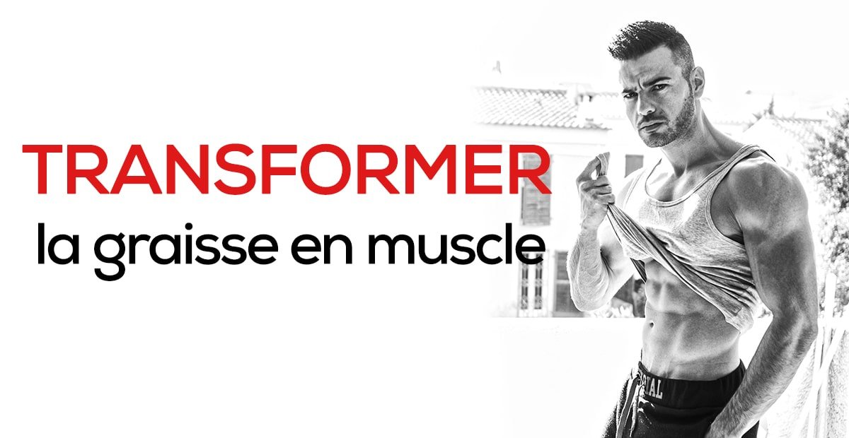 You are currently viewing Envie de changer votre graisse en muscle ? 15 min de vidéo pour tout savoir