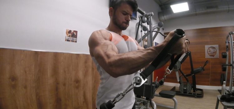 travailler haut pectoraux